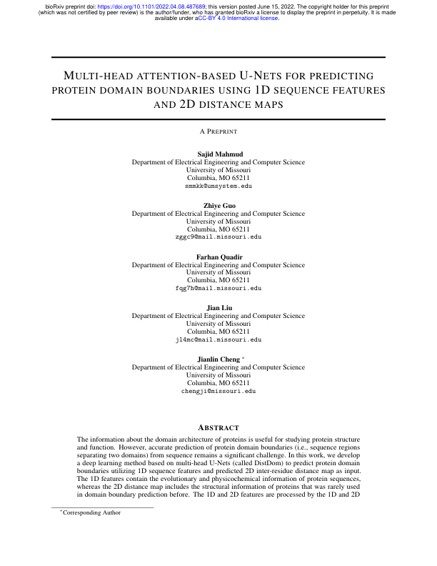 Multi-Head Attention-based U-Nets for Predicting Protein Domain ...