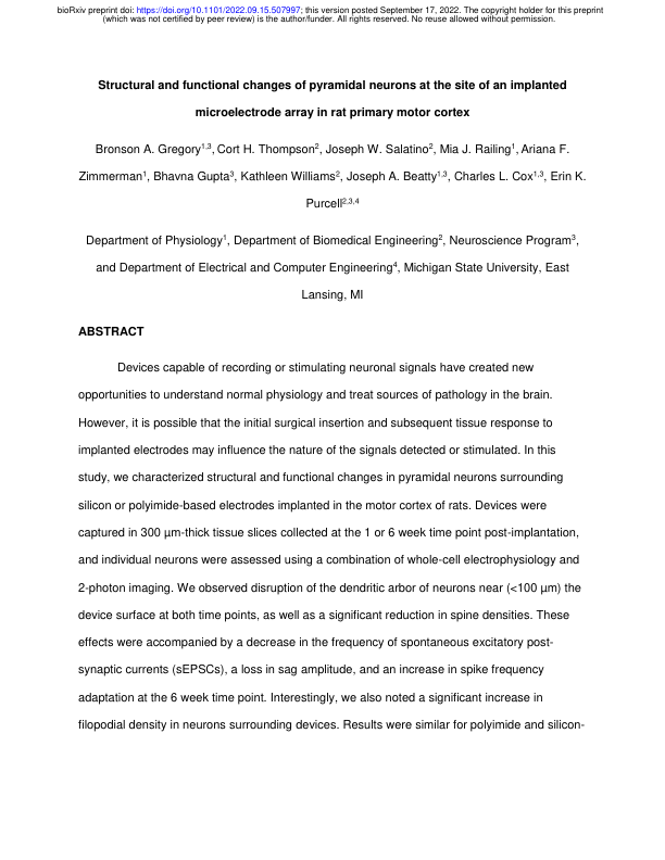 Structural and functional changes of pyramidal neurons at the site of ...