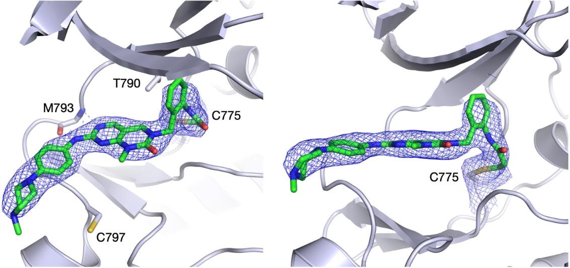 Overcoming EGFR resistance by monovalent and bident inhib... | ResearchHub