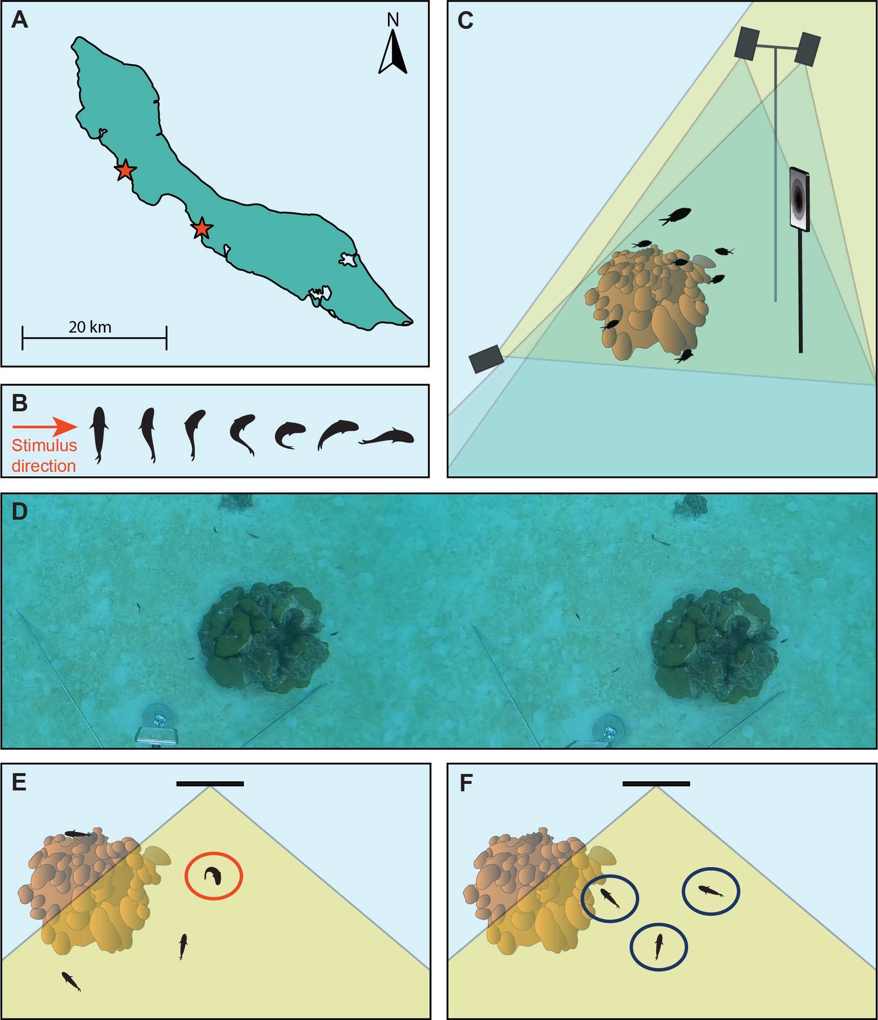 Reef fish escape responses selectively match predator att...