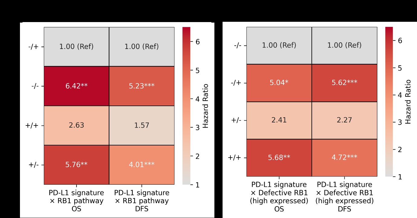 Bidirectional coupling among EMT, AXL-RB1 signaling and l...
