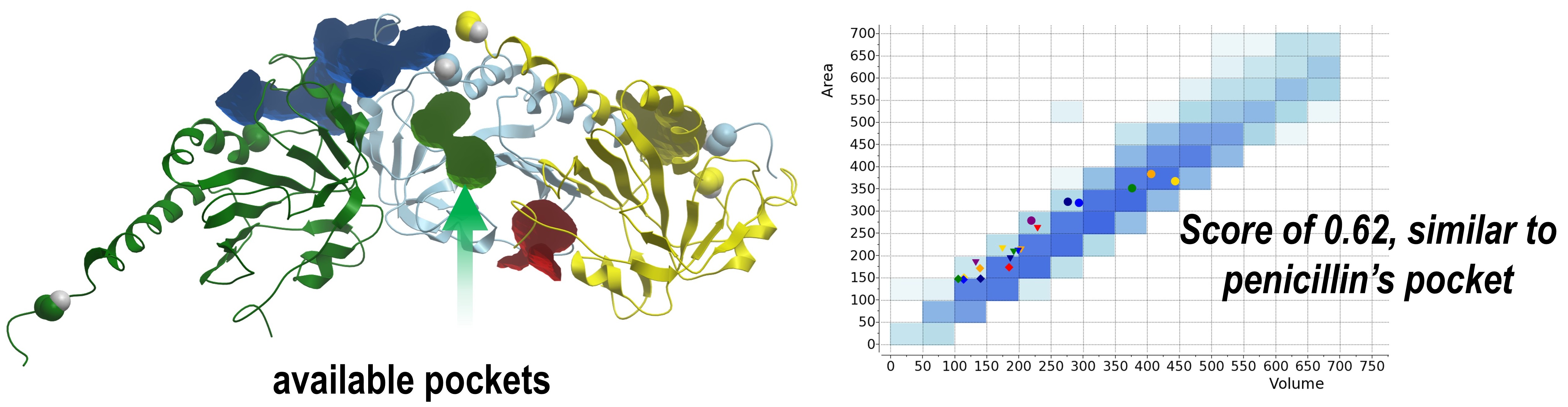 Fig. 2. Analysis of druggable pockets. Target pocket in this study ...